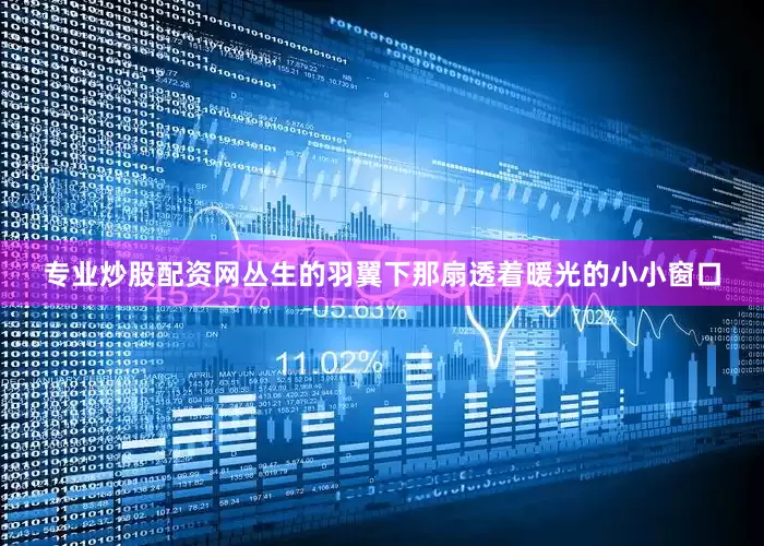 专业炒股配资网丛生的羽翼下那扇透着暖光的小小窗口