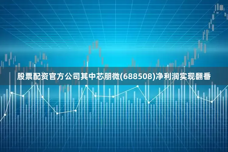 股票配资官方公司其中芯朋微(688508)净利润实现翻番