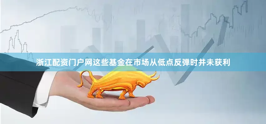 浙江配资门户网这些基金在市场从低点反弹时并未获利