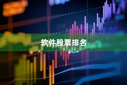 软件股票排名