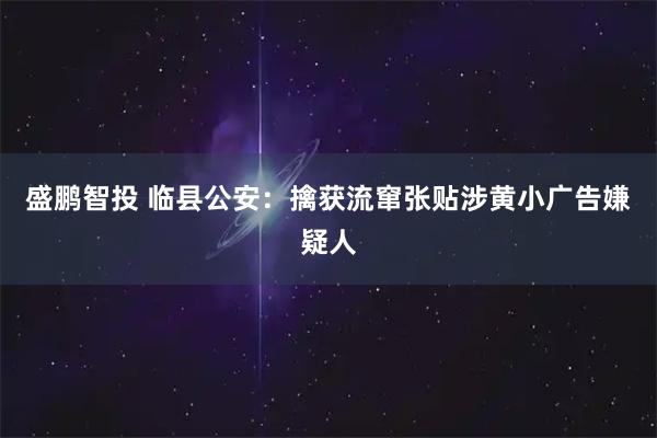 盛鹏智投 临县公安：擒获流窜张贴涉黄小广告嫌疑人