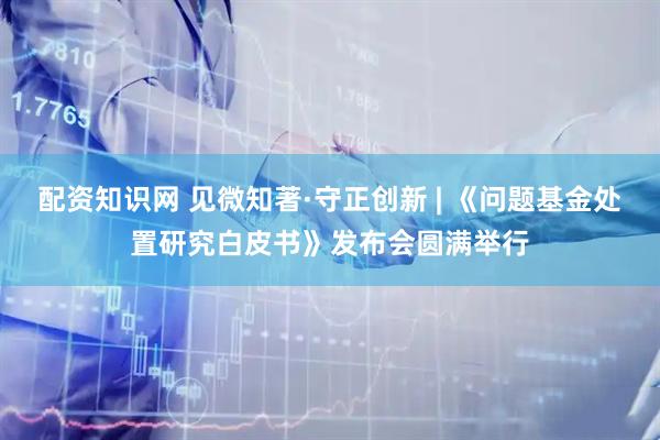 配资知识网 见微知著·守正创新 | 《问题基金处置研究白皮书》发布会圆满举行