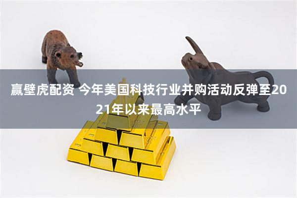 赢壁虎配资 今年美国科技行业并购活动反弹至2021年以来最高水平