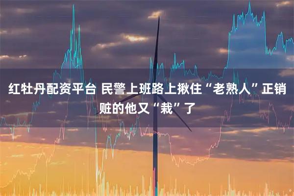 红牡丹配资平台 民警上班路上揪住“老熟人”正销赃的他又“栽”了