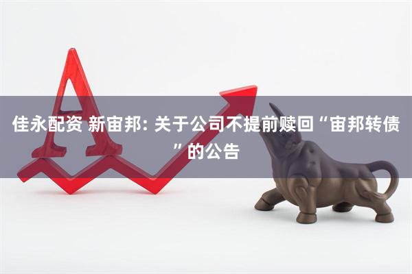 佳永配资 新宙邦: 关于公司不提前赎回“宙邦转债”的公告