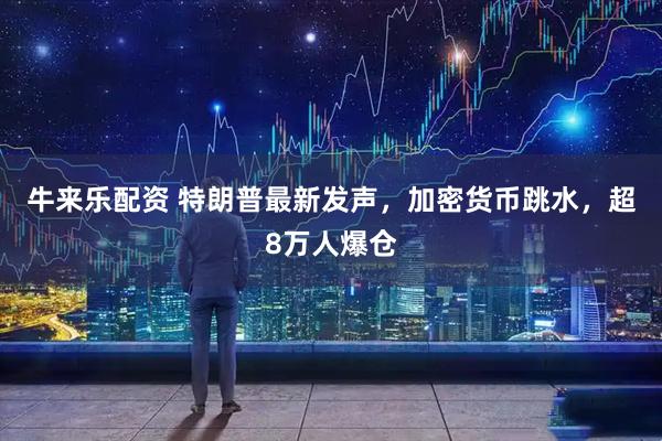 牛来乐配资 特朗普最新发声，加密货币跳水，超8万人爆仓