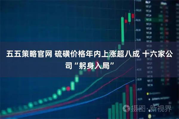 五五策略官网 硫磺价格年内上涨超八成 十六家公司“躬身入局”